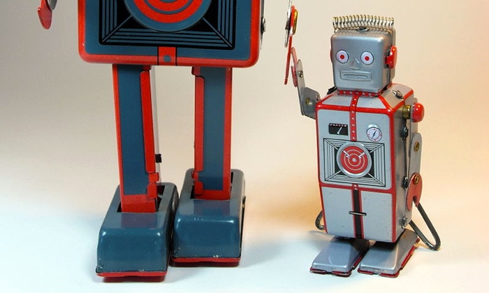 bot bot