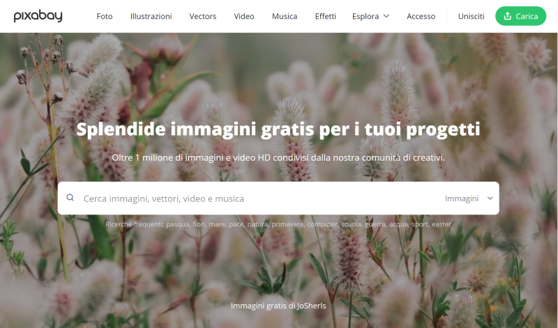 Pixabay